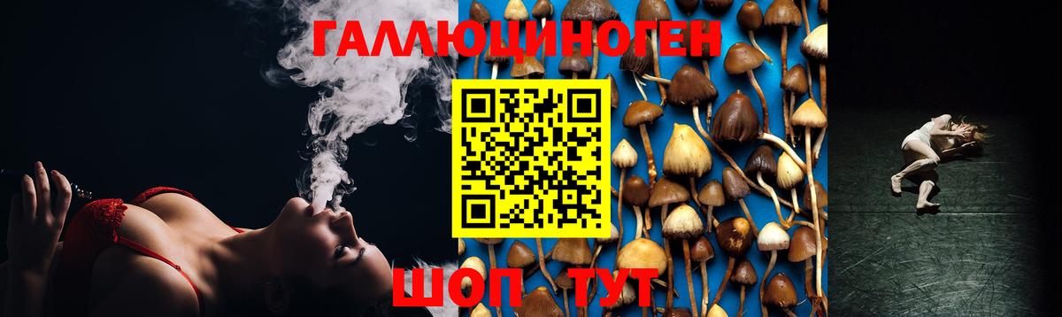 Галлюциногенные грибы мухоморы Тайшет